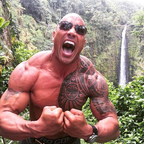 the rock reacting meme