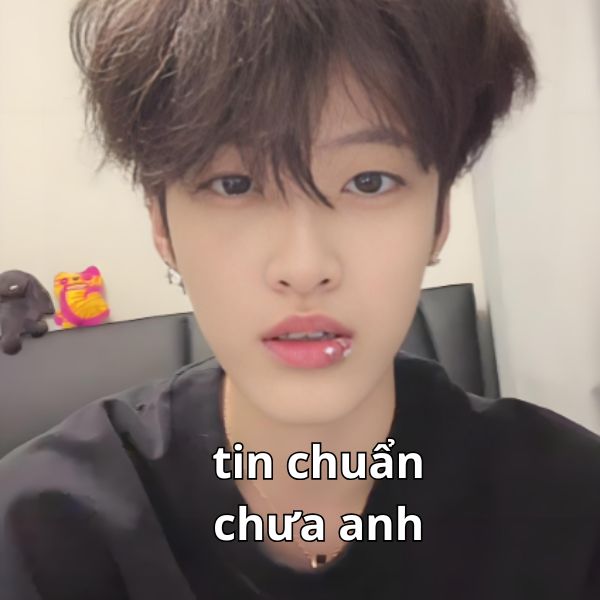 ảnh chế tin chuẩn chưa anh meme