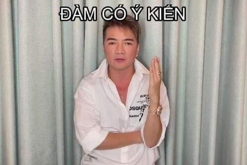 đàm vĩnh hưng meme