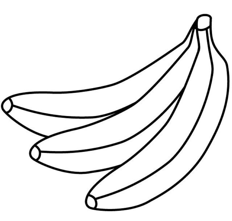 ảnh các loại quả