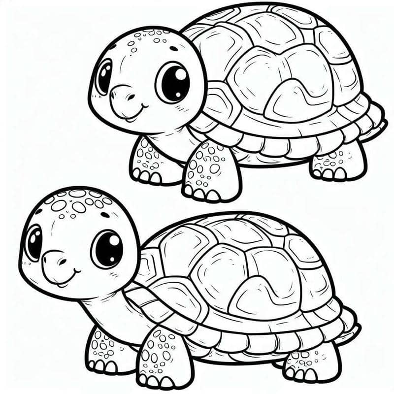 ảnh tranh tô màu con rùa cute