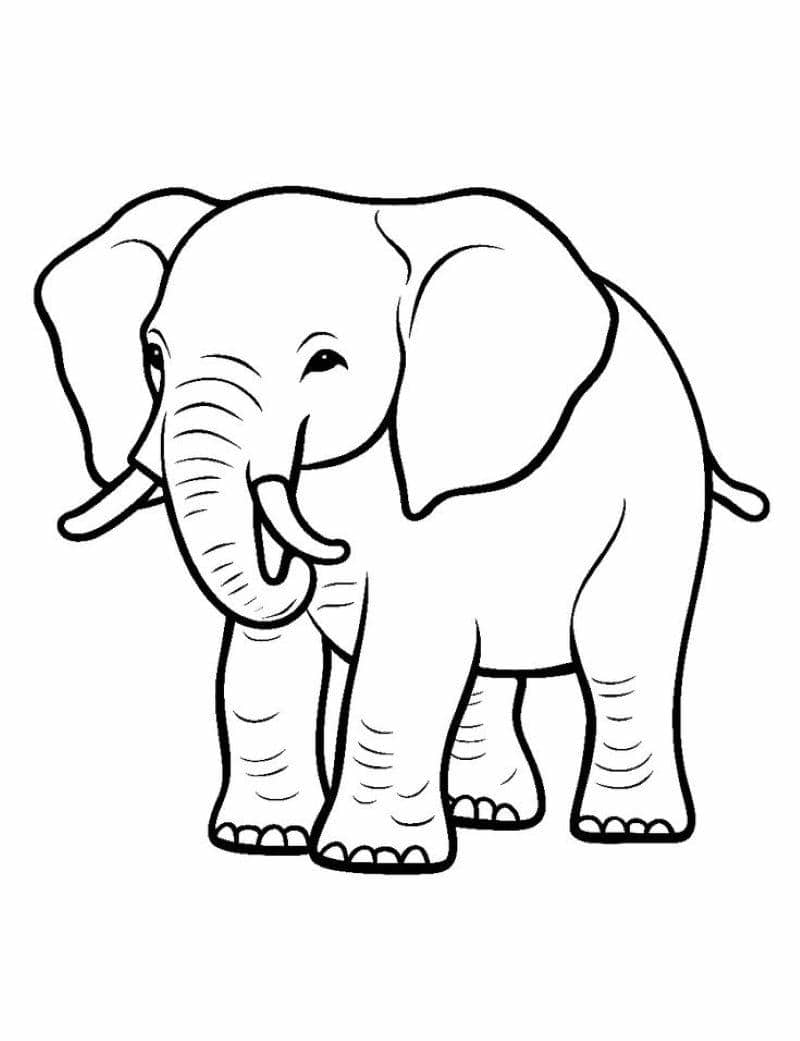 hình ảnh con voi đẹp