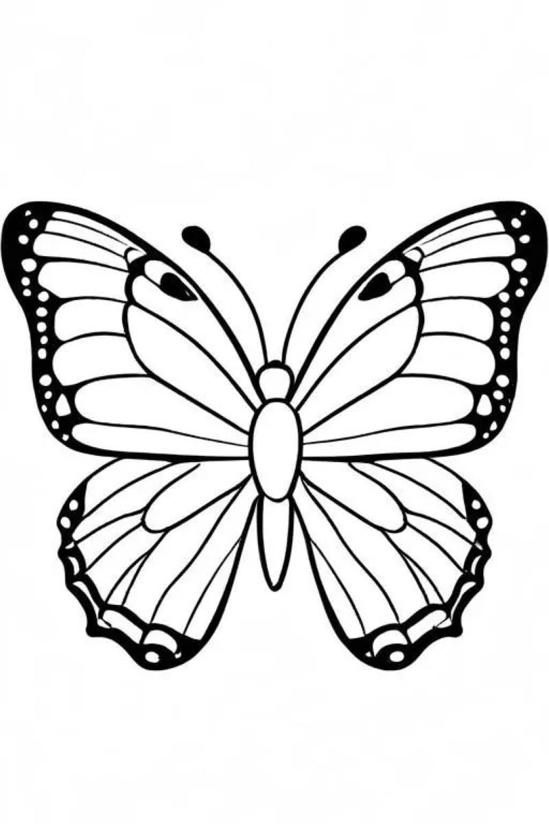 hình ảnh tranh vẽ con bướm