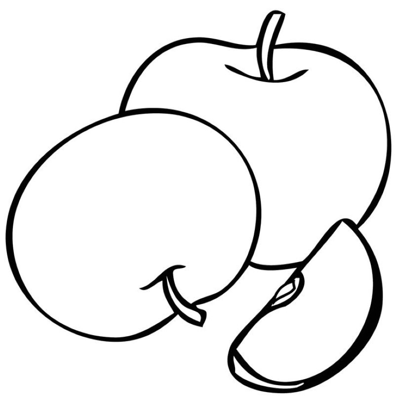 hình vẽ các loại quả