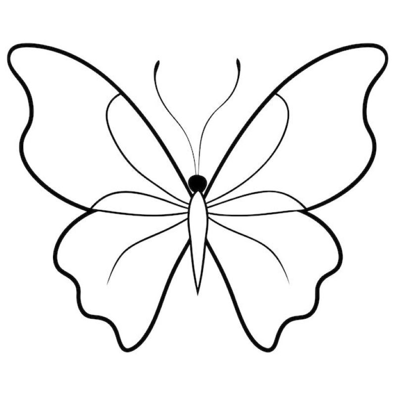 tô màu bươm bướm