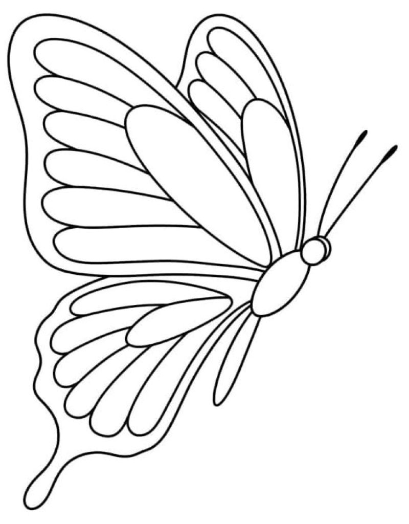 tranh bướm