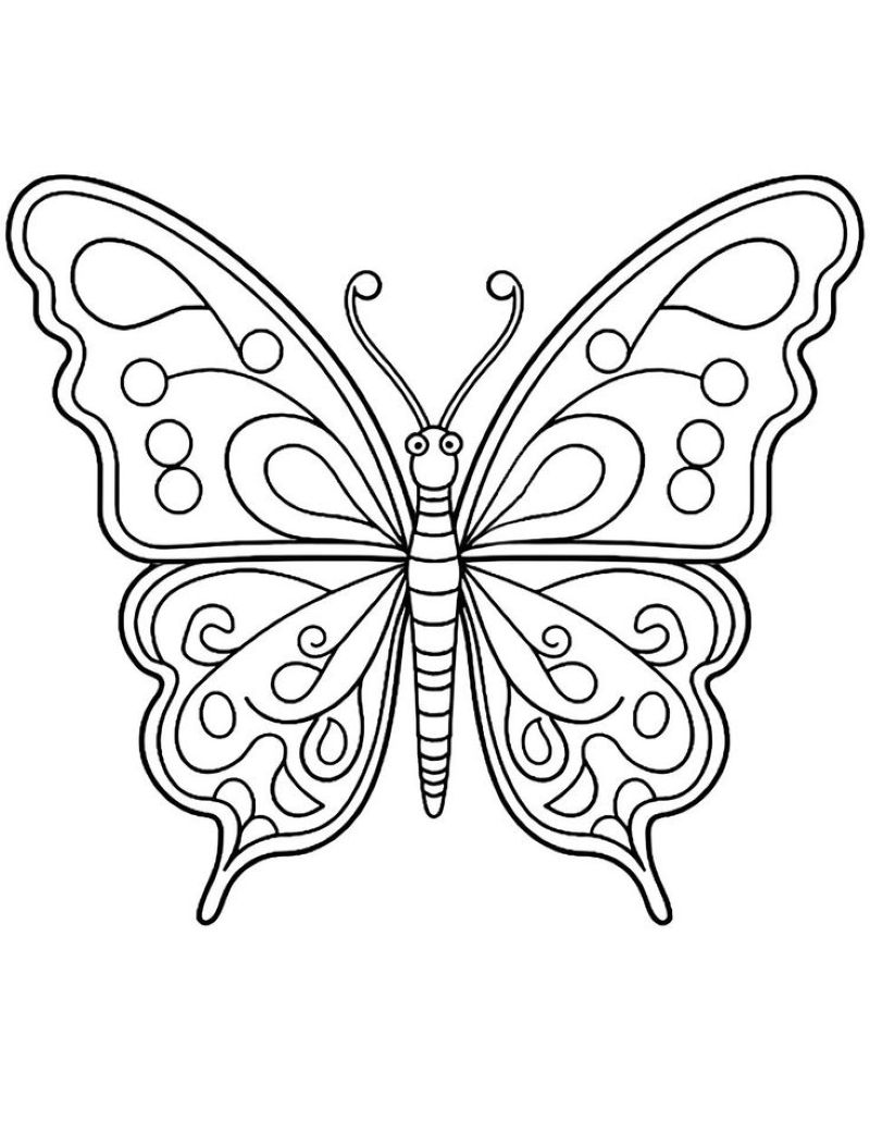 tranh con bướm