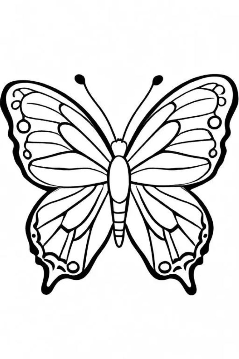 tranh tô màu con bướm