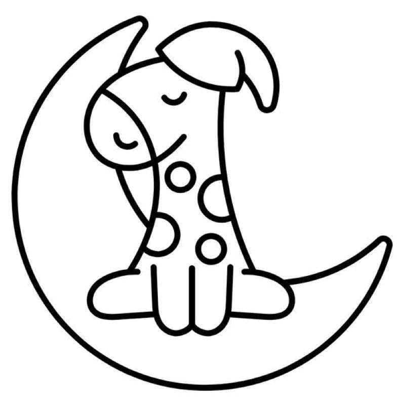 ảnh con hươu cao cổ