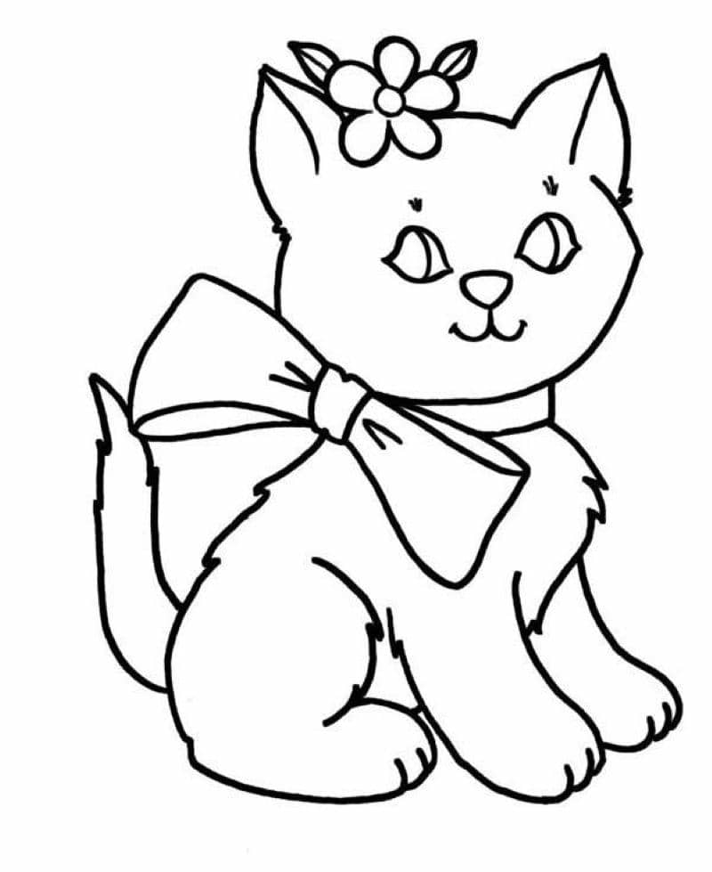 ảnh con mèo cute