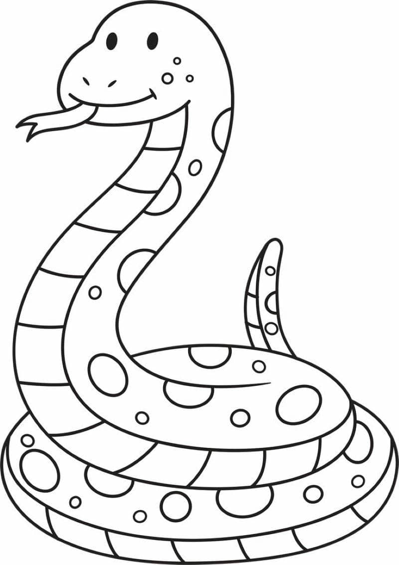 ảnh tô màu rắn