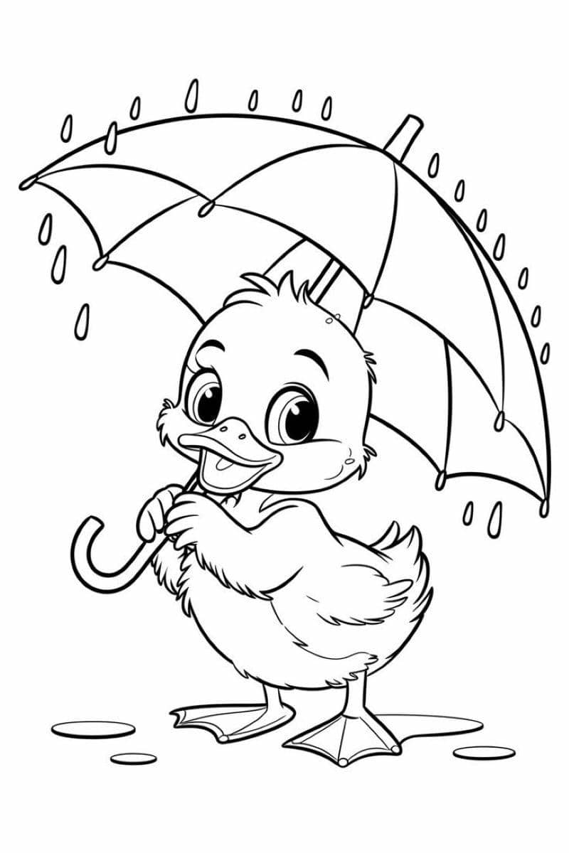 ảnh vẽ con vịt