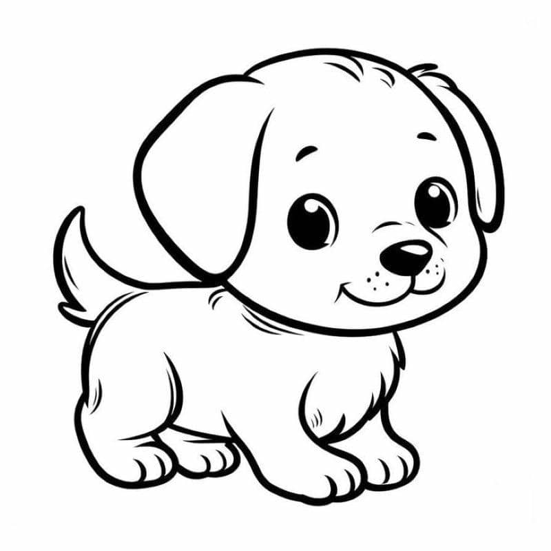 bé tập tô màu con vật