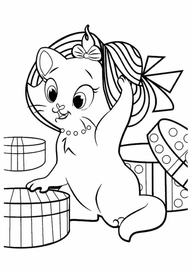 con mèo cute