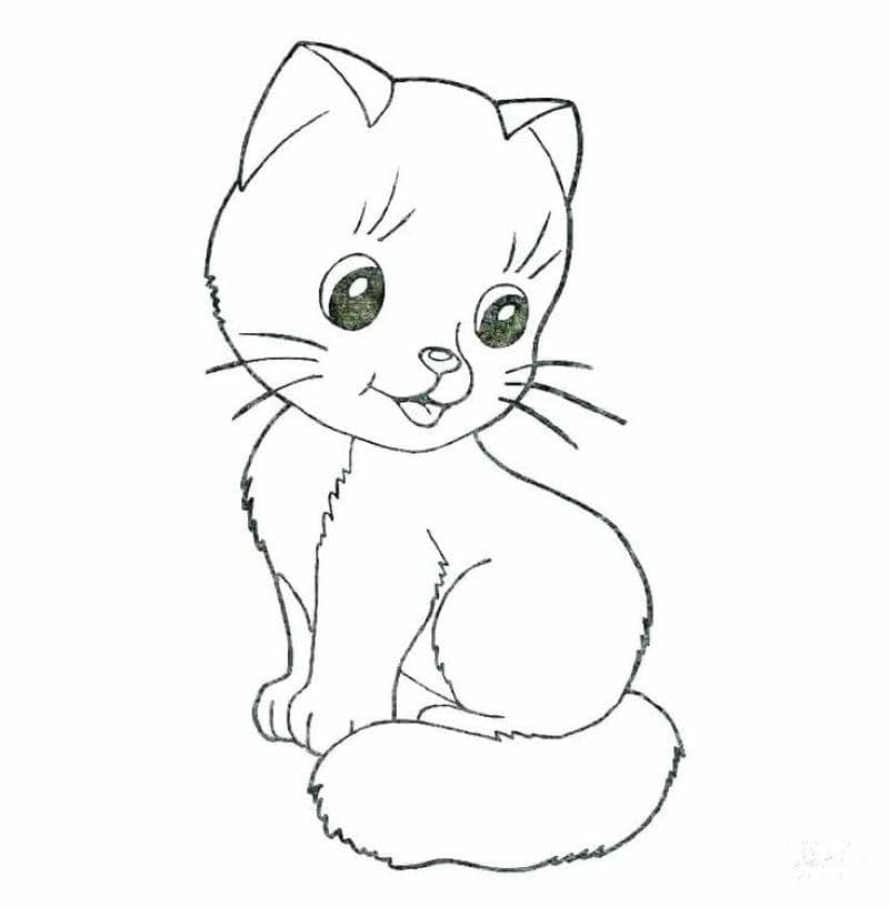 con mèo đáng yêu