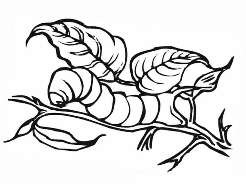 hình ảnh vẽ con sâu đơn giản