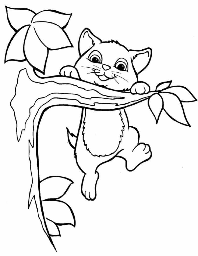 hình con mèo cute