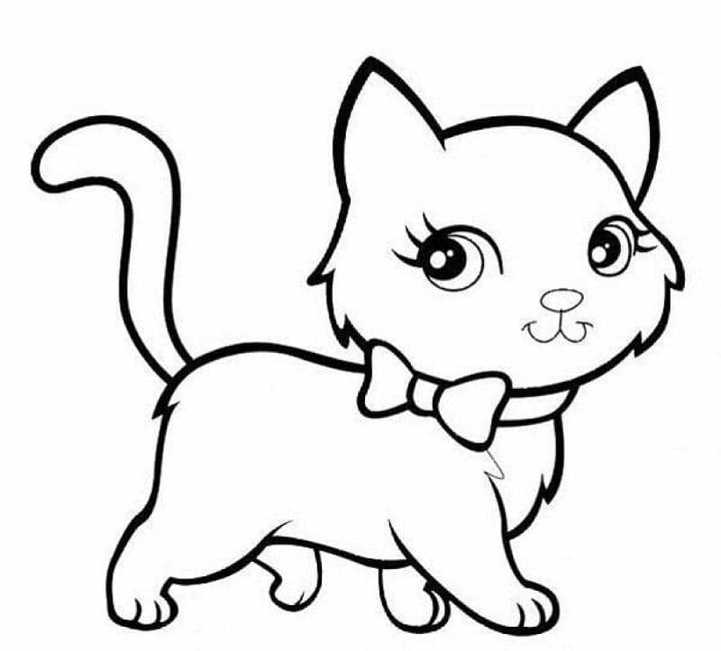 hình cute mèo