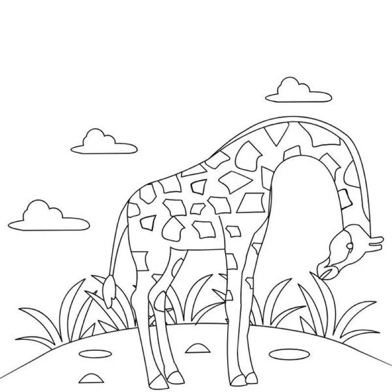 hình vẽ hươu cao cổ