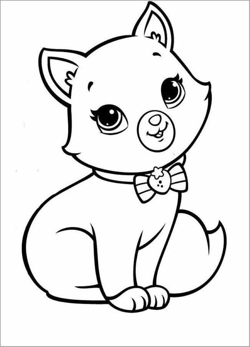 mèo tô màu