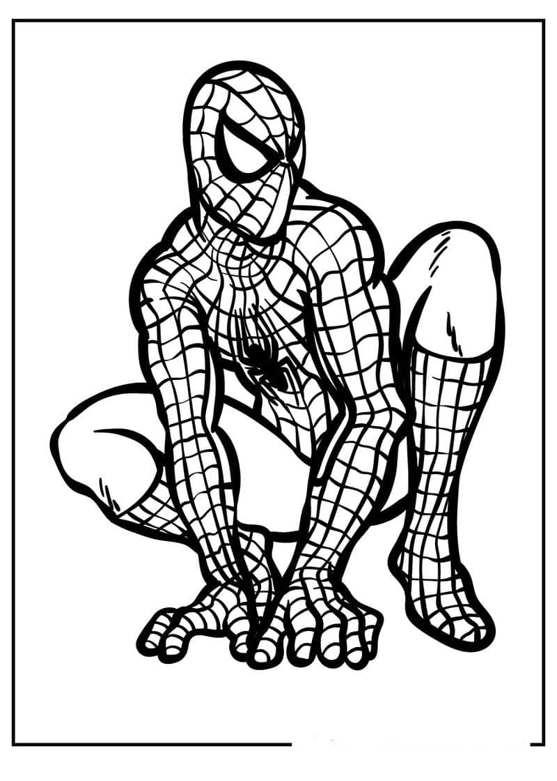 spider man tô màu