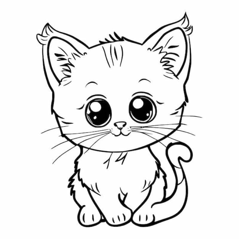 tô con mèo