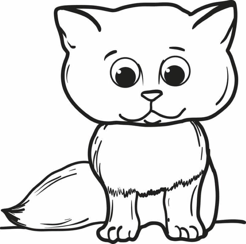 to màu con mèo cute