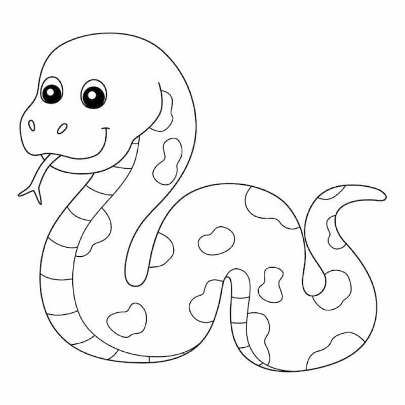 tô màu con rắn cute