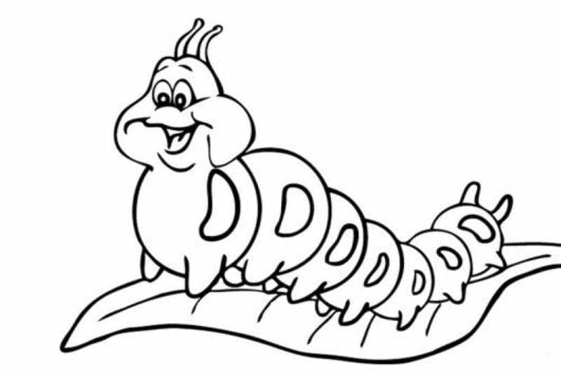 tô màu con sâu cute