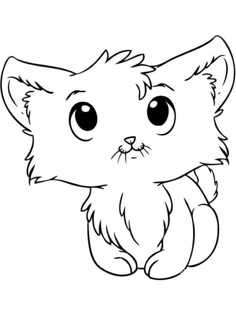 tô màu mèo cute