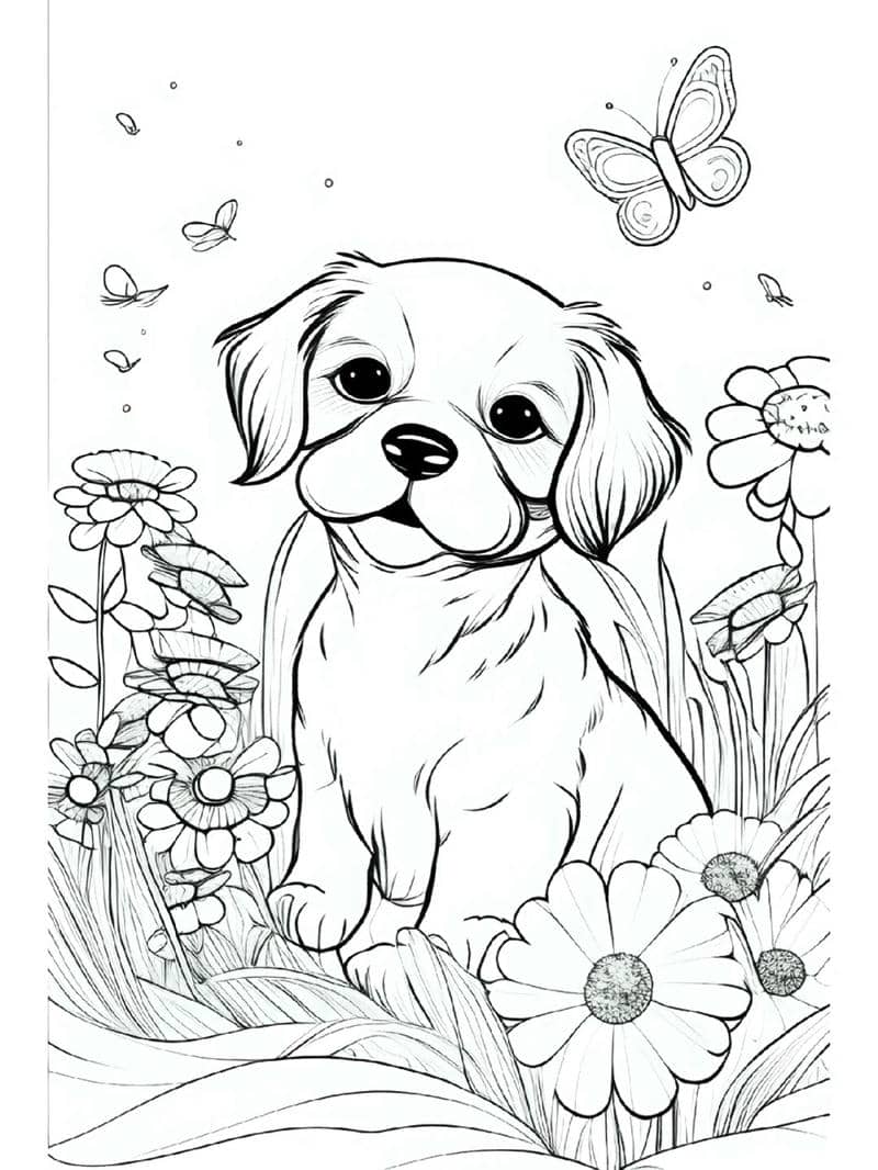 tranh tô màu con vật cho bé 3 tuổi