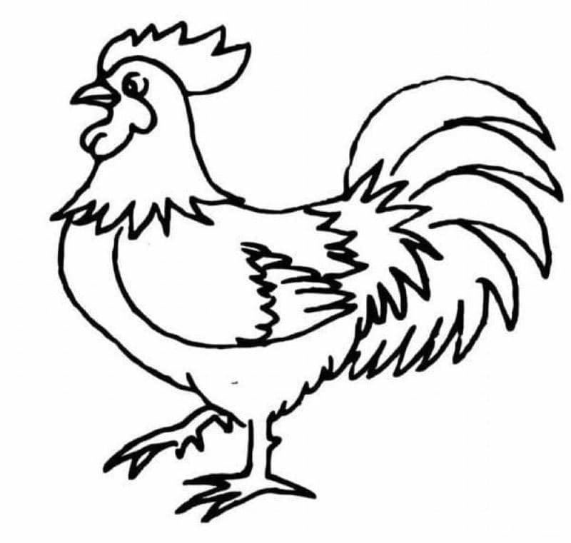 tranh tô màu con vật cute