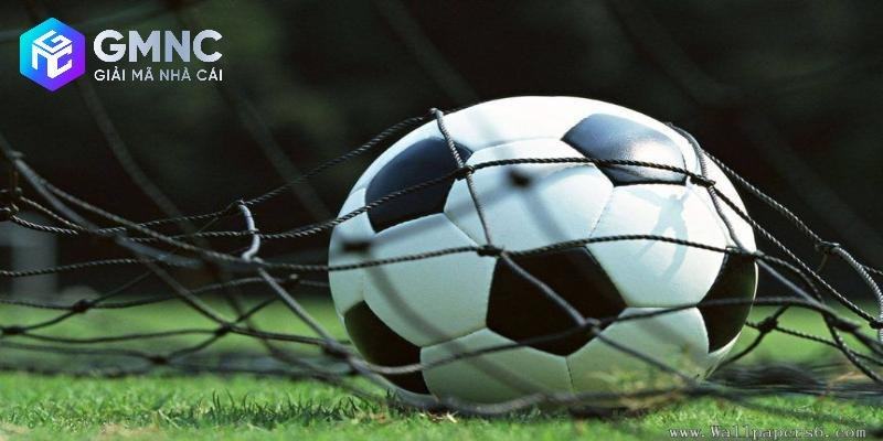 Tìm hiểu tổng quan về hệ thống dữ liệu gmnc