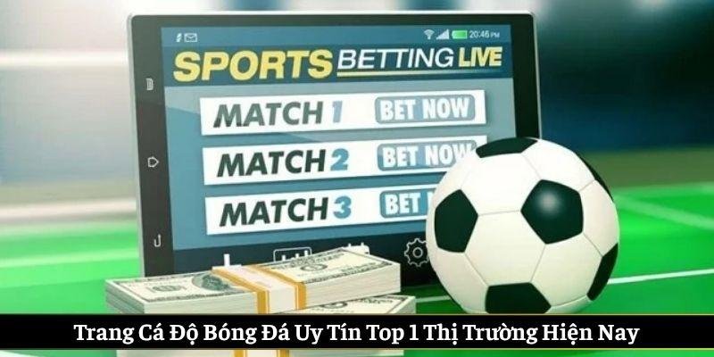 Trang Cá Độ Bóng Đá Uy Tín Top 1 Thị Trường Hiện Nay - ảnh 1