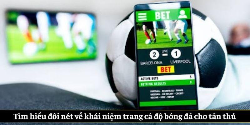 Trang Cá Độ Bóng Đá Uy Tín Top 1 Thị Trường Hiện Nay - ảnh 2